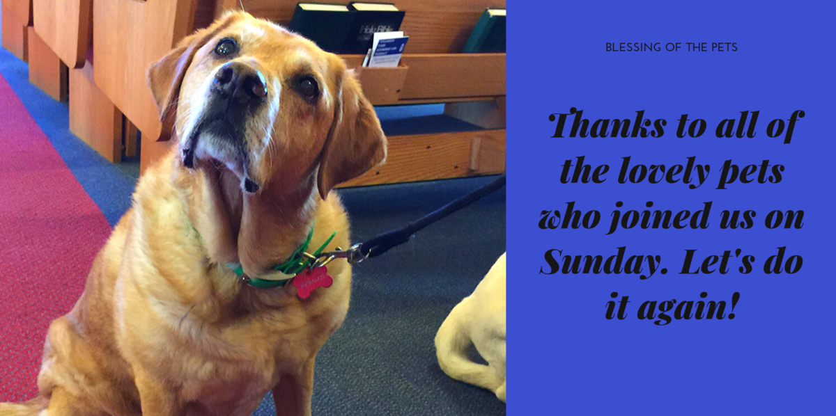 Blessing of the Pets St. Peter's Anglican Church